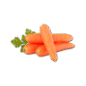Vegetables Cabbage
